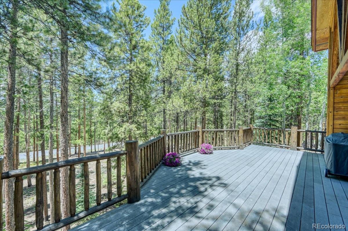 MLS Image #31 for 99  primrose lane,keystone, Colorado