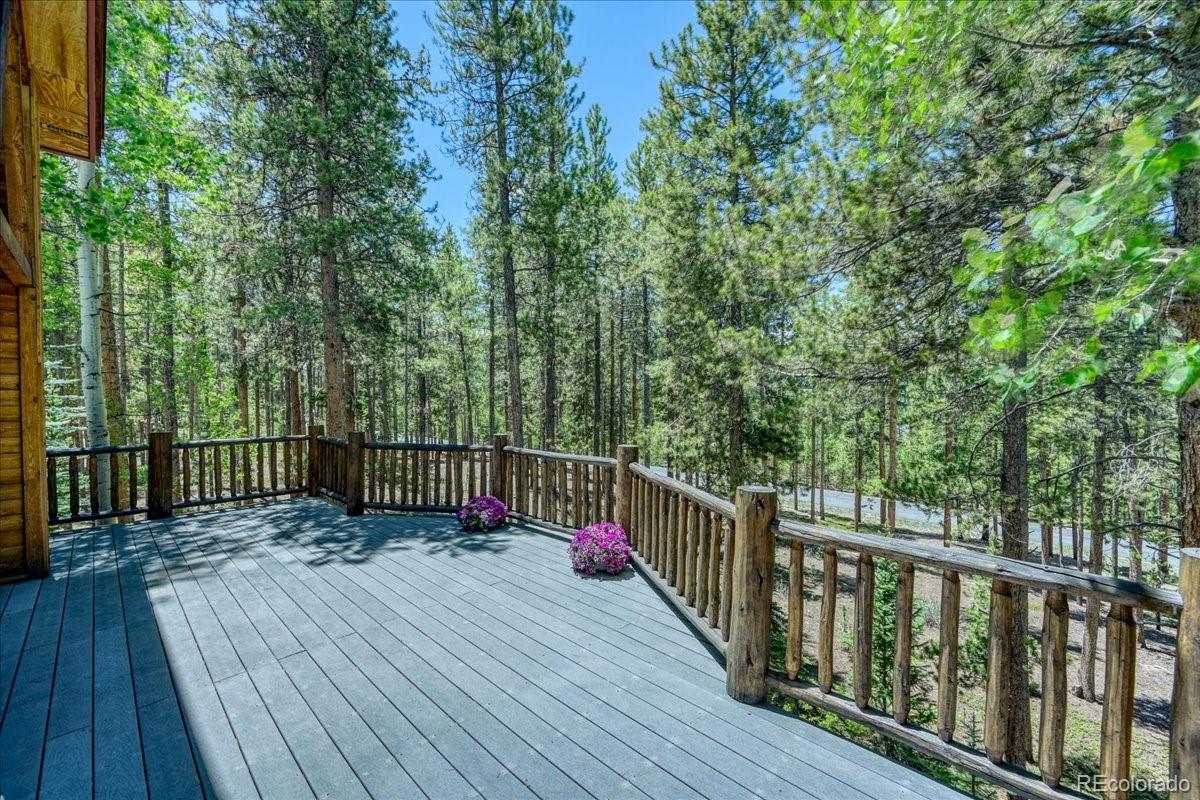 MLS Image #32 for 99  primrose lane,keystone, Colorado