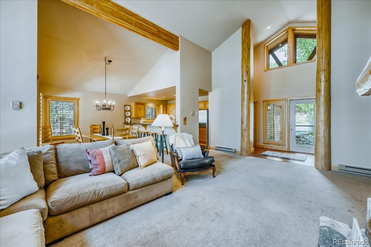 MLS Image #4 for 99  primrose lane,keystone, Colorado