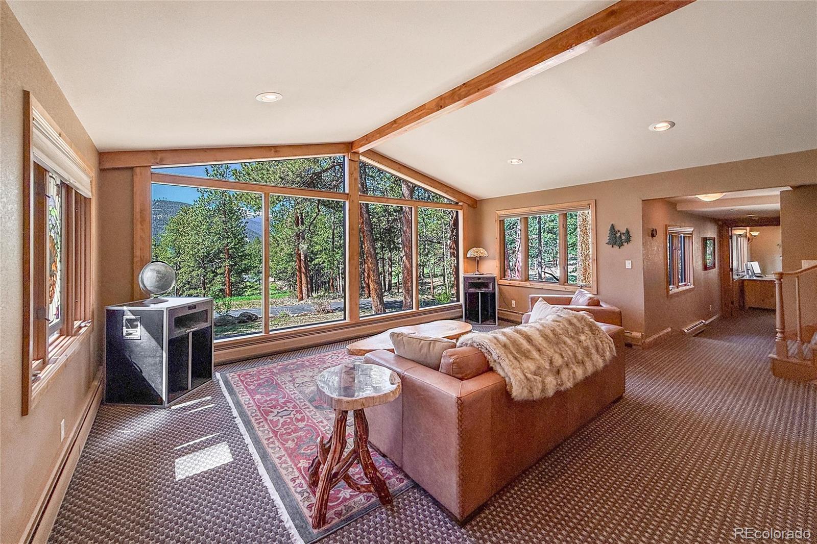 MLS Image #11 for 850  east lane,estes park, Colorado
