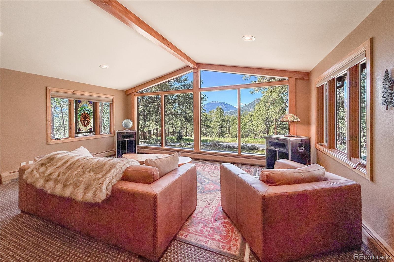 MLS Image #13 for 850  east lane,estes park, Colorado