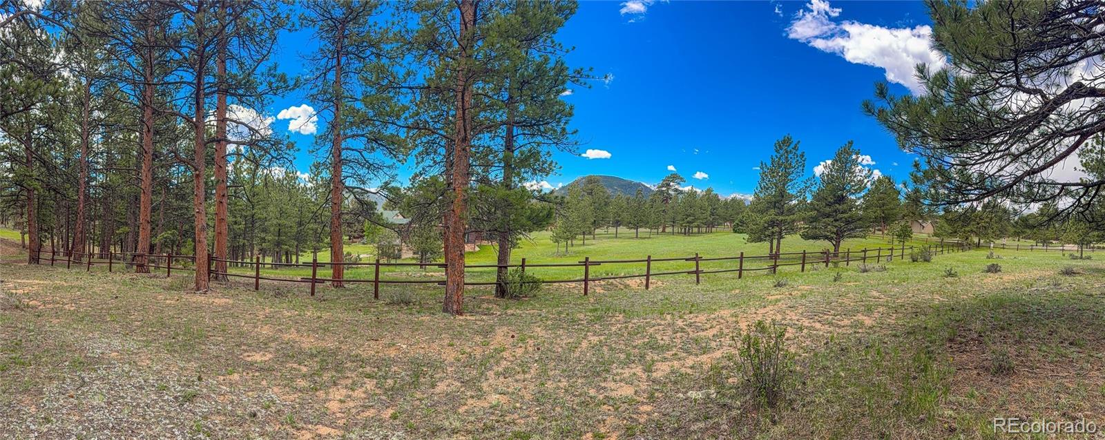 MLS Image #22 for 850  east lane,estes park, Colorado