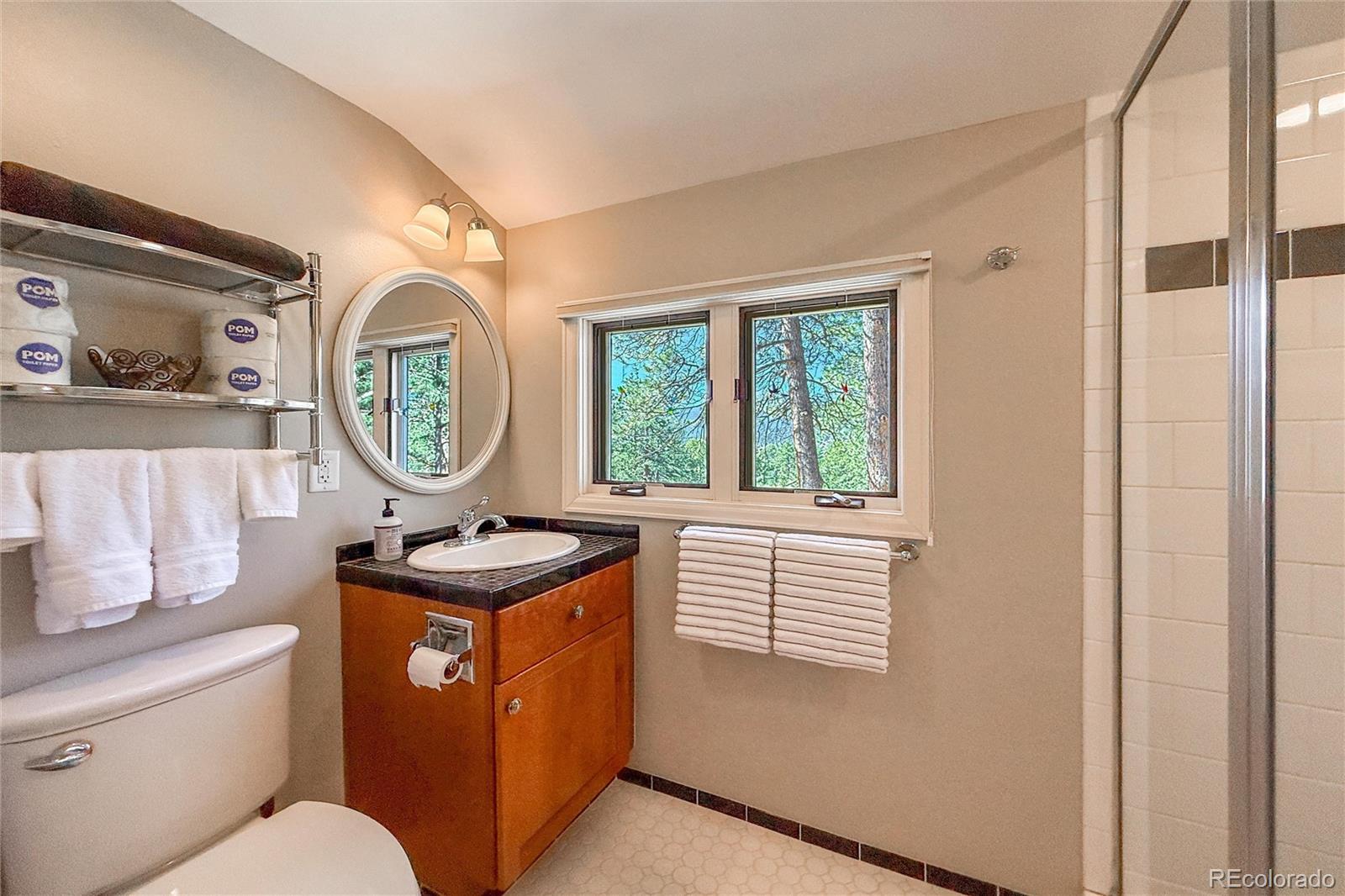 MLS Image #32 for 850  east lane,estes park, Colorado