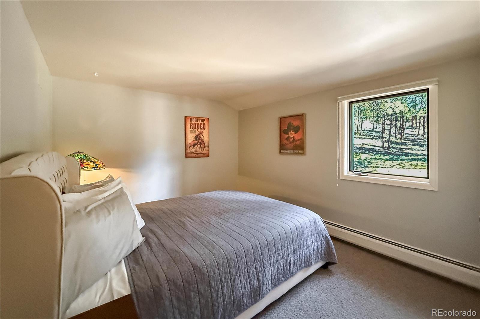 MLS Image #33 for 850  east lane,estes park, Colorado