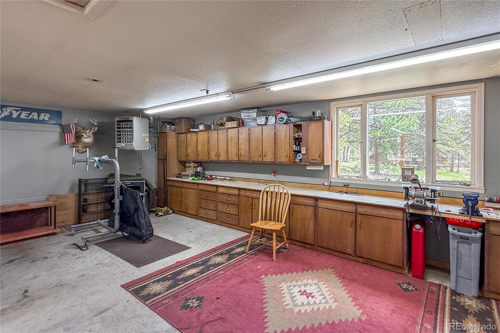 MLS Image #41 for 850  east lane,estes park, Colorado