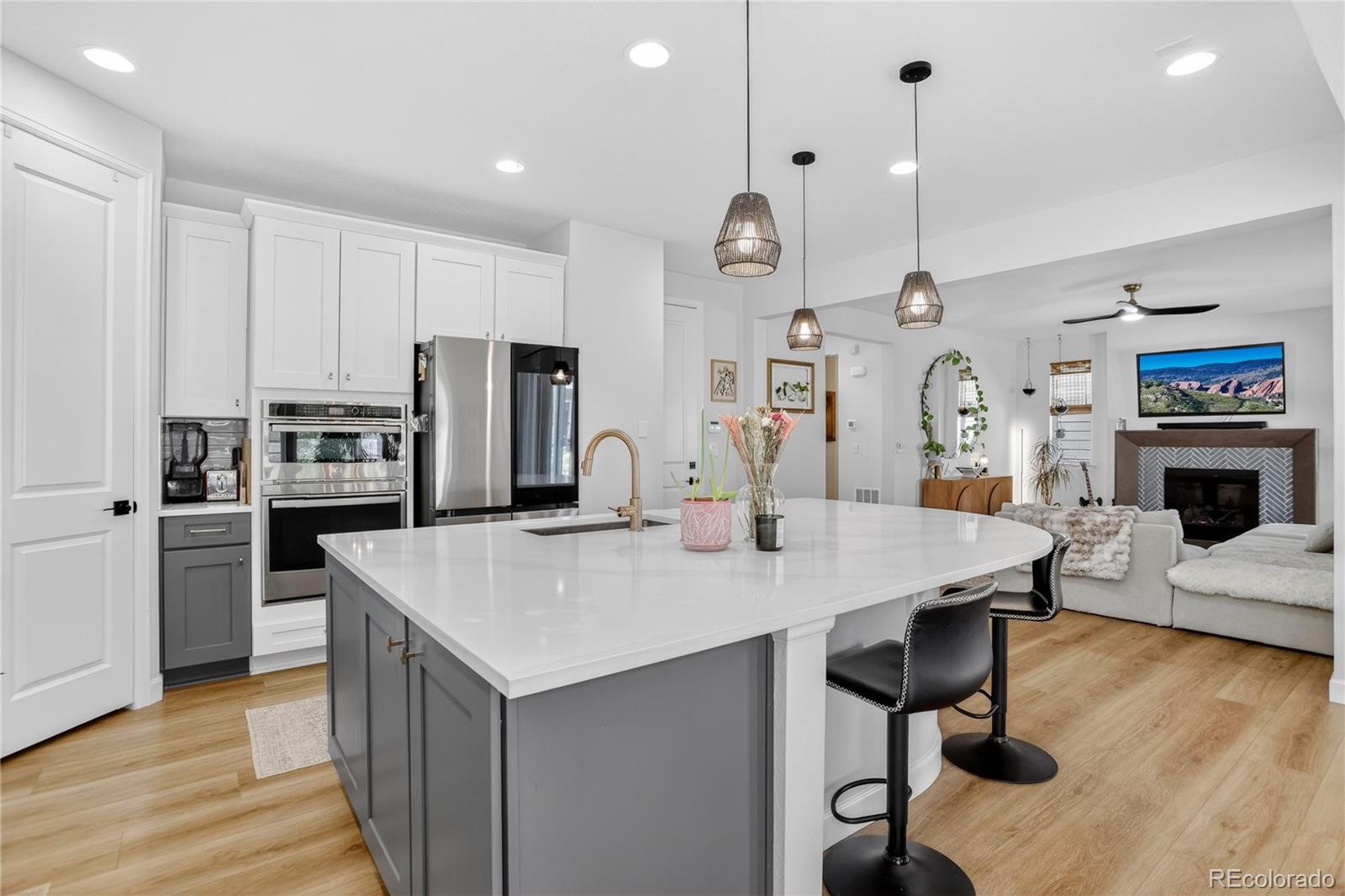 MLS Image #15 for 8940  animas river street,littleton, Colorado