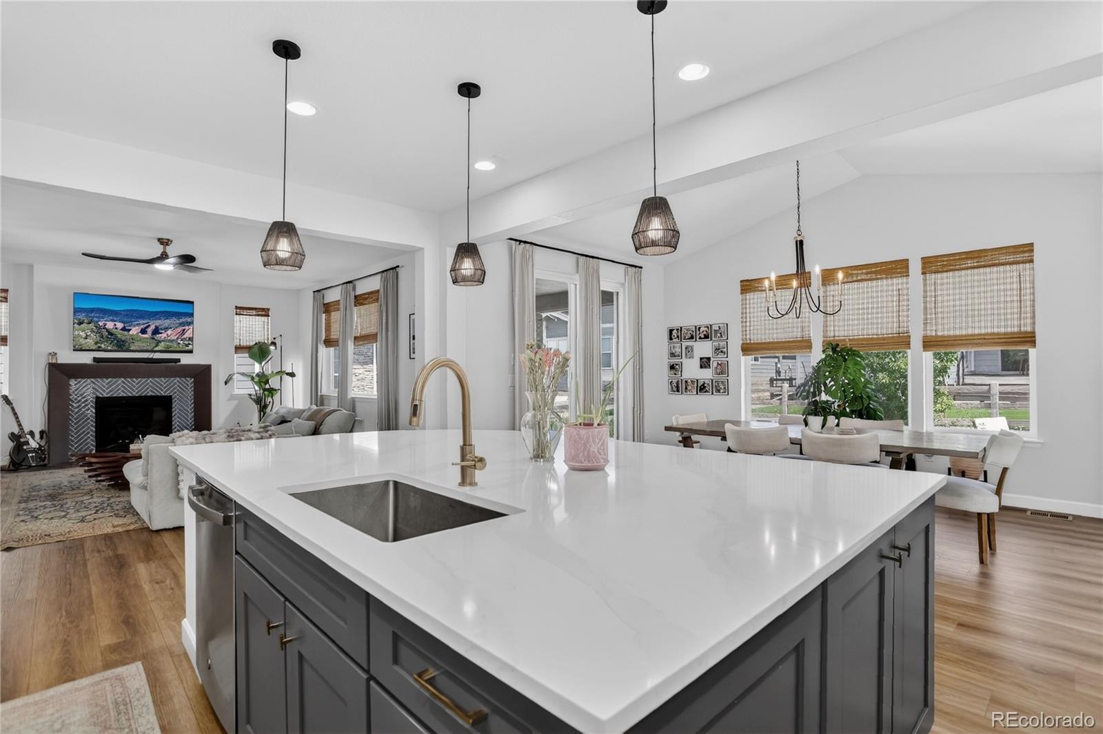 MLS Image #16 for 8940  animas river street,littleton, Colorado