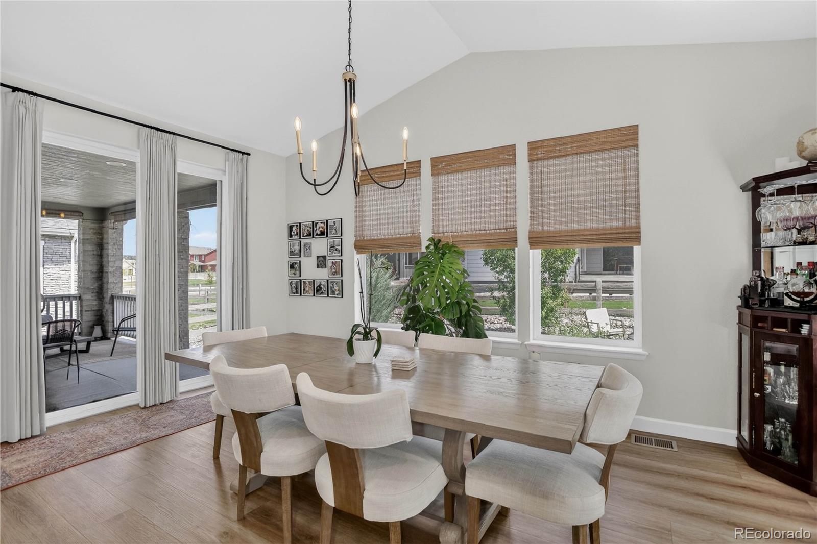 MLS Image #17 for 8940  animas river street,littleton, Colorado