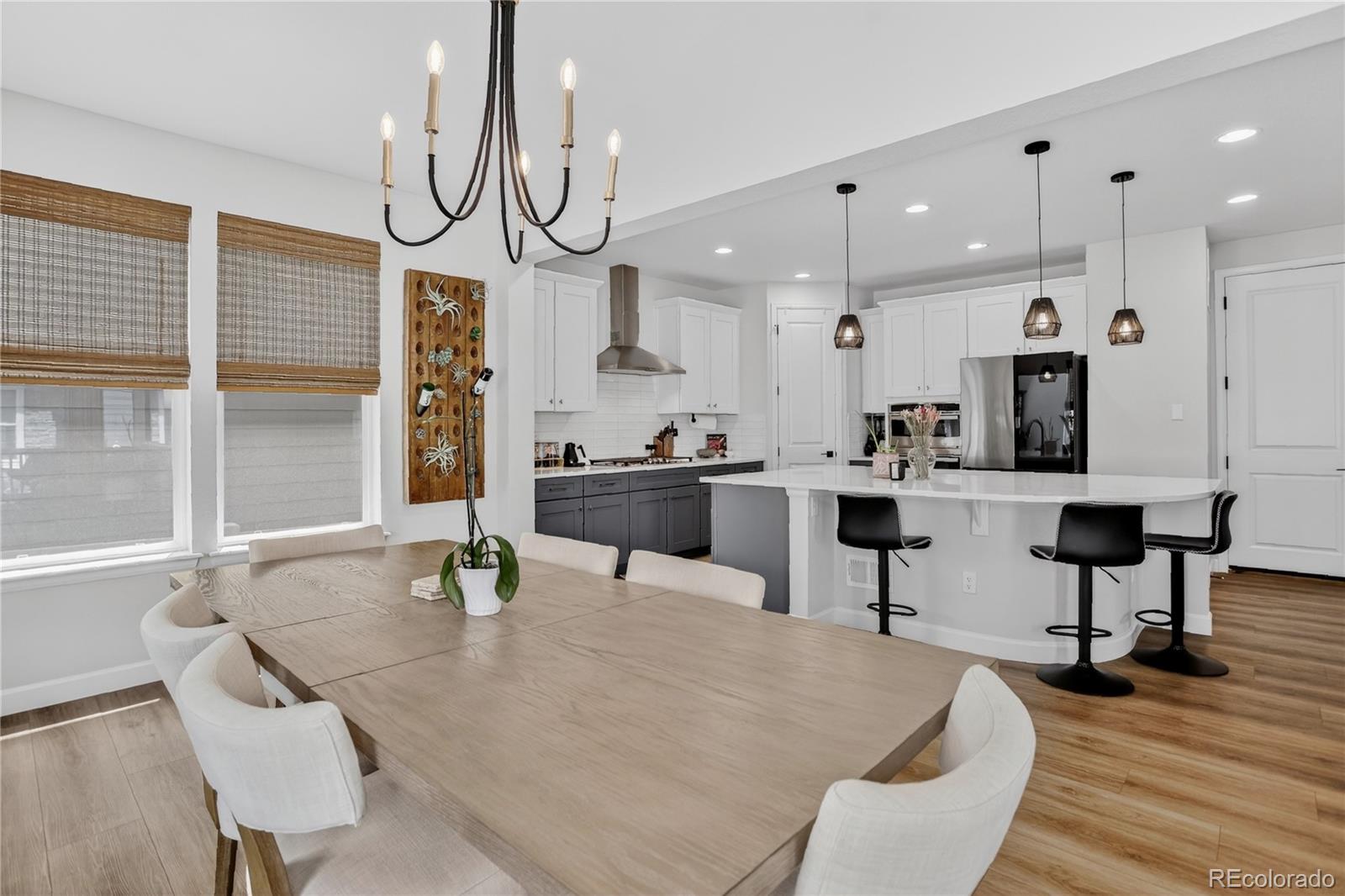 MLS Image #19 for 8940  animas river street,littleton, Colorado