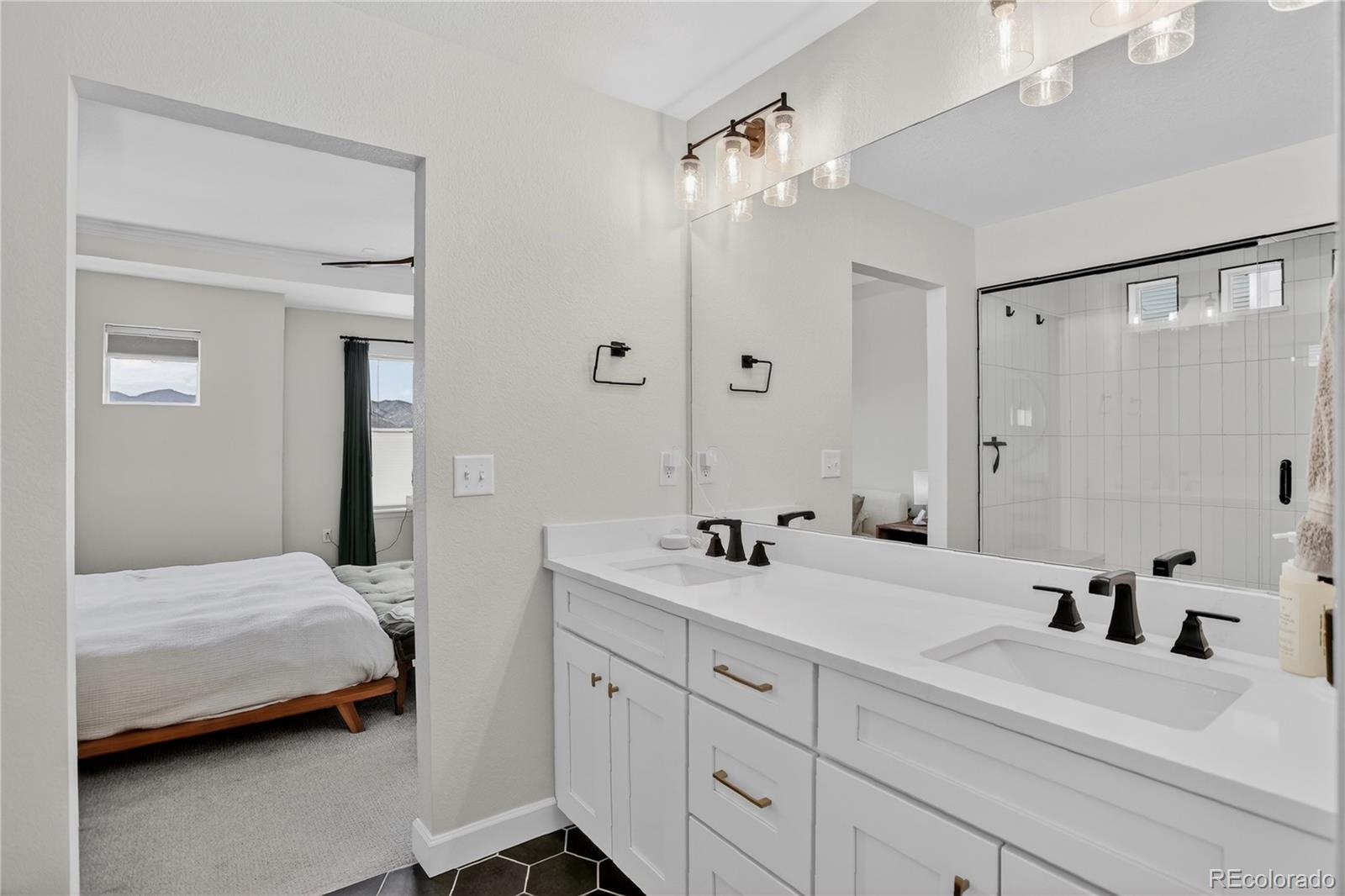 MLS Image #24 for 8940  animas river street,littleton, Colorado