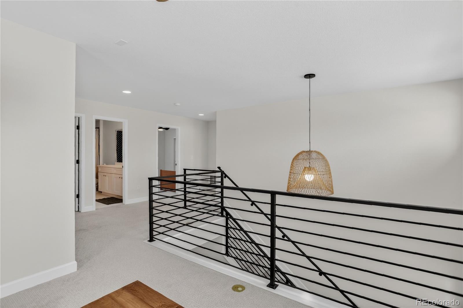 MLS Image #31 for 8940  animas river street,littleton, Colorado