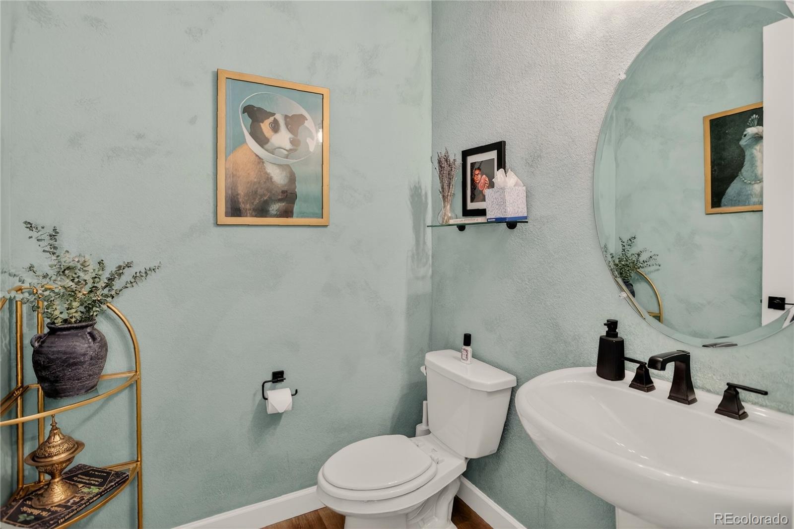 MLS Image #8 for 8940  animas river street,littleton, Colorado