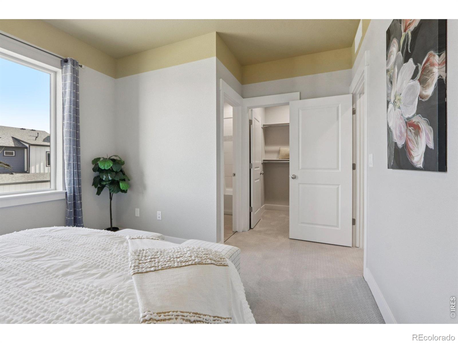 MLS Image #24 for 176  high point drive,longmont, Colorado