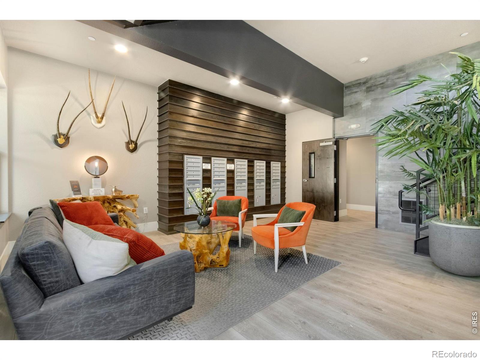 MLS Image #3 for 302 n meldrum street,fort collins, Colorado