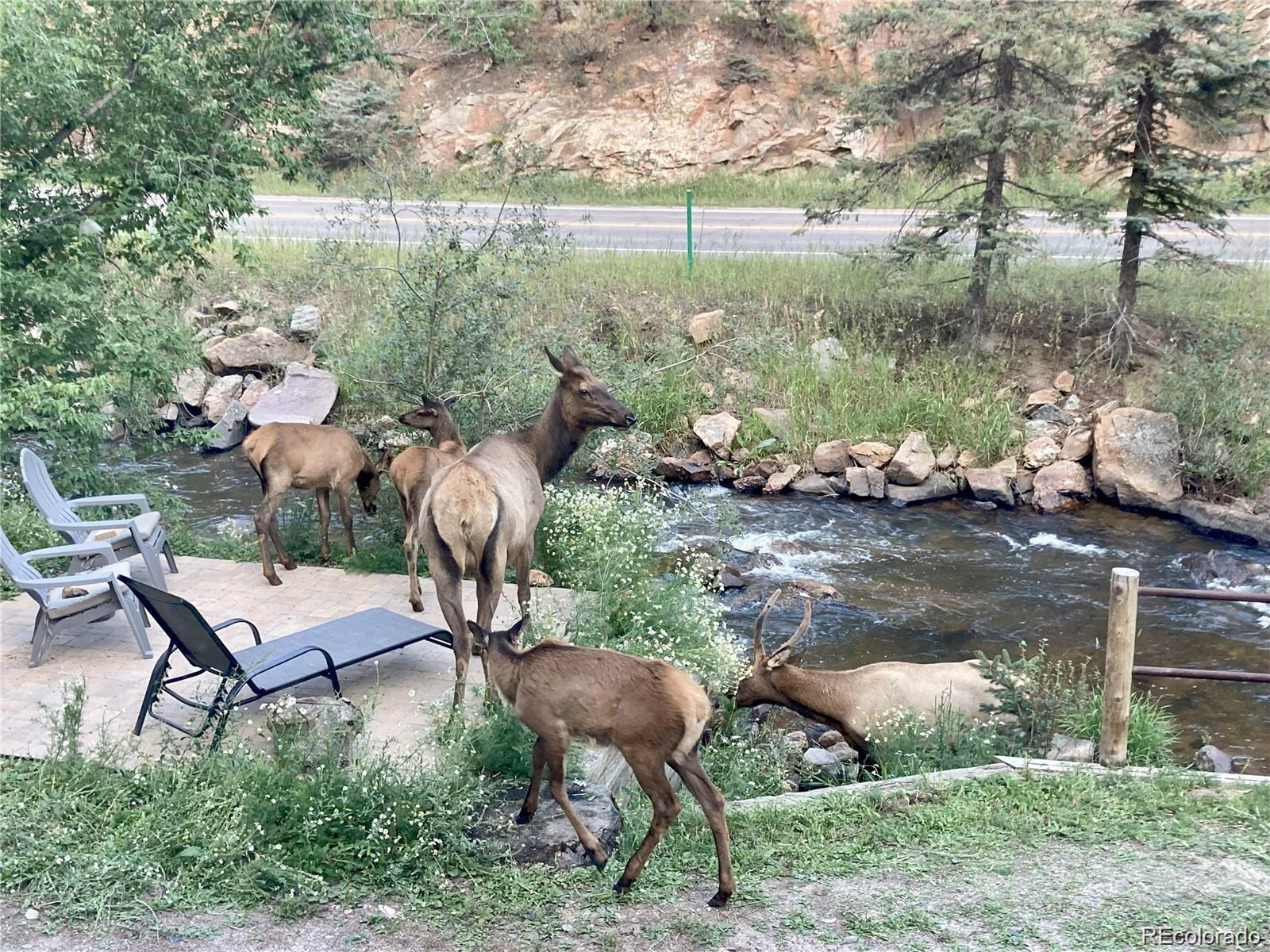 MLS Image #37 for 27154  highway 74 ,evergreen, Colorado