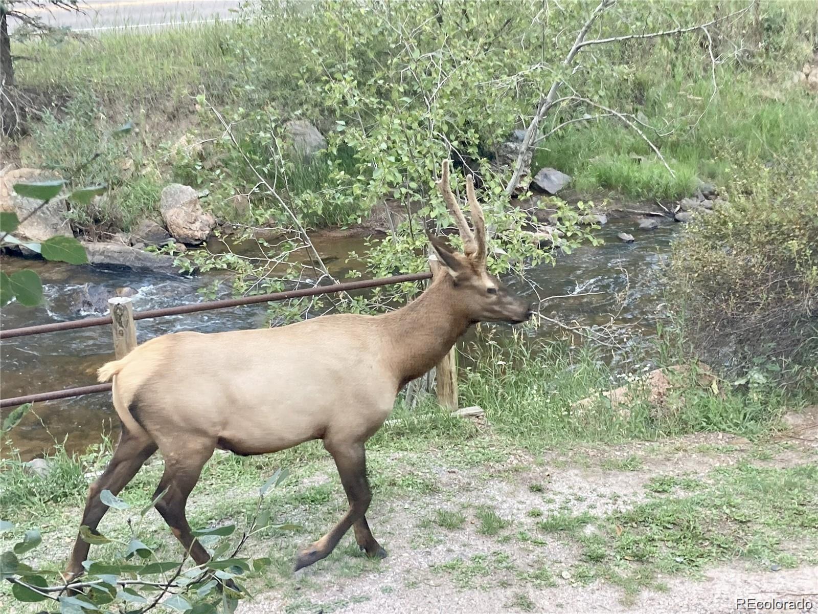 MLS Image #38 for 27154  highway 74 ,evergreen, Colorado