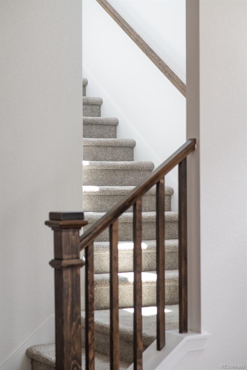 MLS Image #15 for 8946  wolf valley drive,colorado springs, Colorado