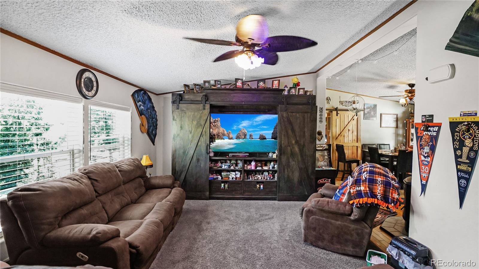 MLS Image #0 for 76 s pine drive,bailey, Colorado