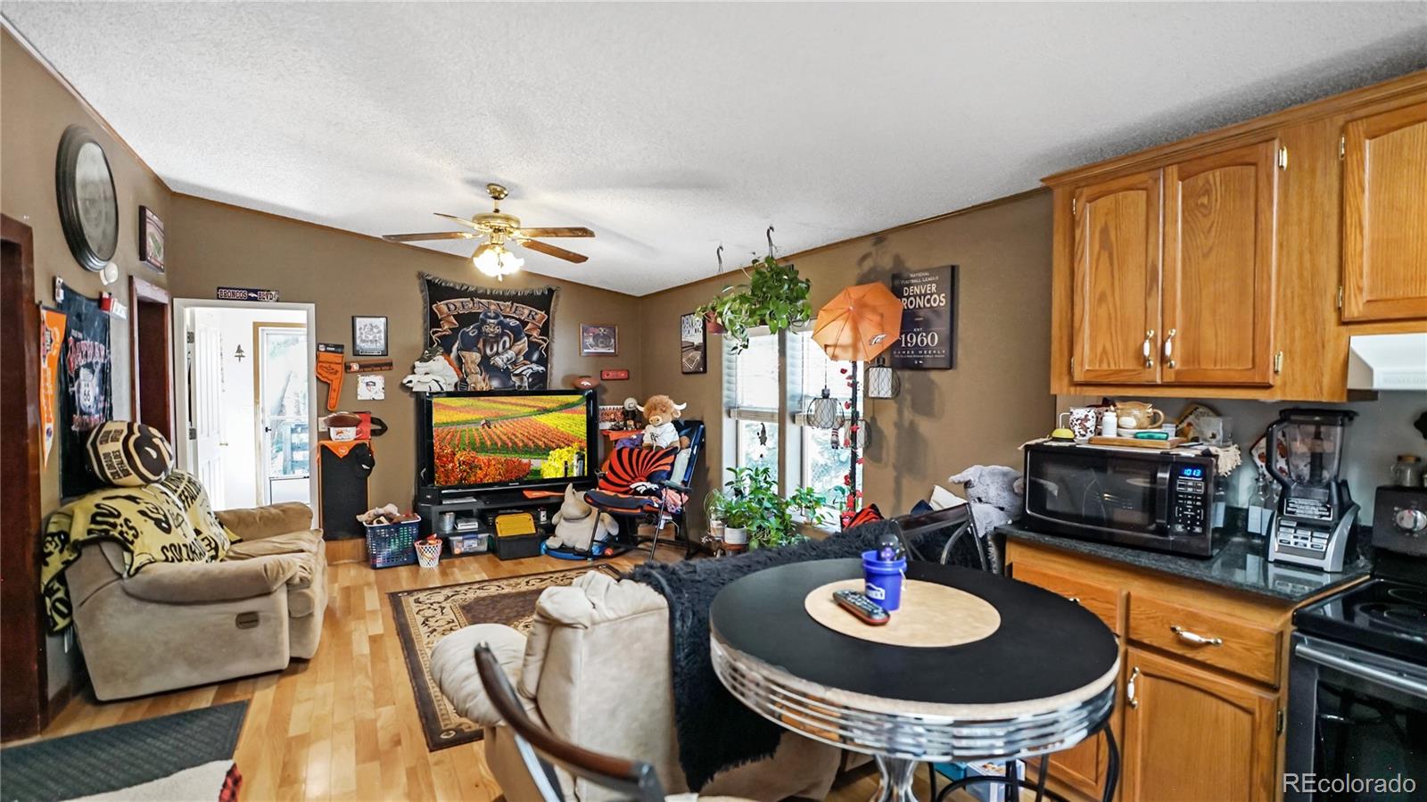 MLS Image #11 for 76 s pine drive,bailey, Colorado