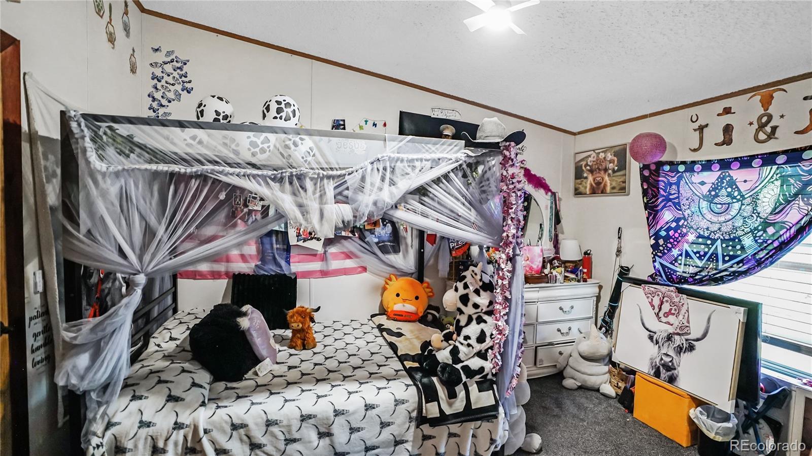 MLS Image #12 for 76 s pine drive,bailey, Colorado