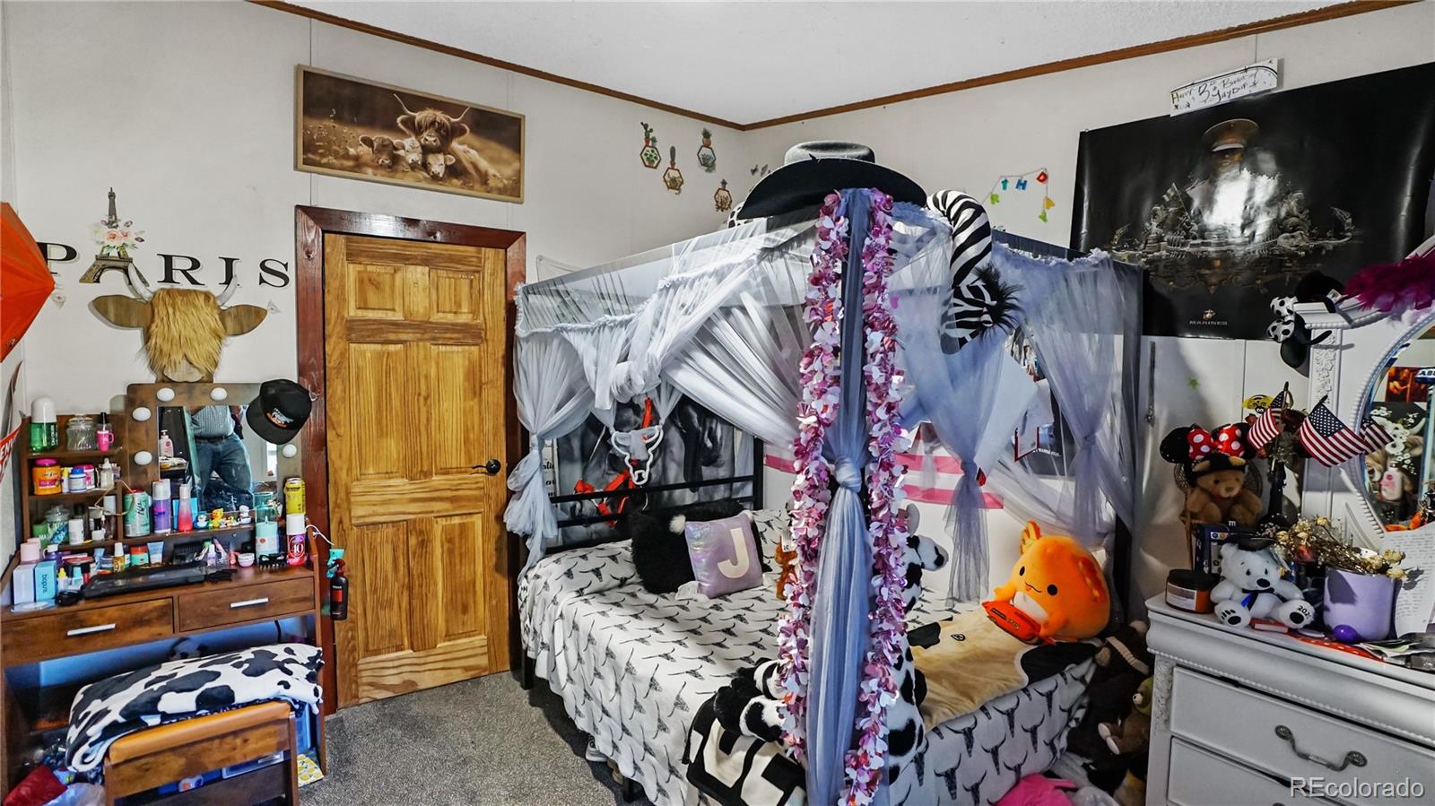 MLS Image #13 for 76 s pine drive,bailey, Colorado