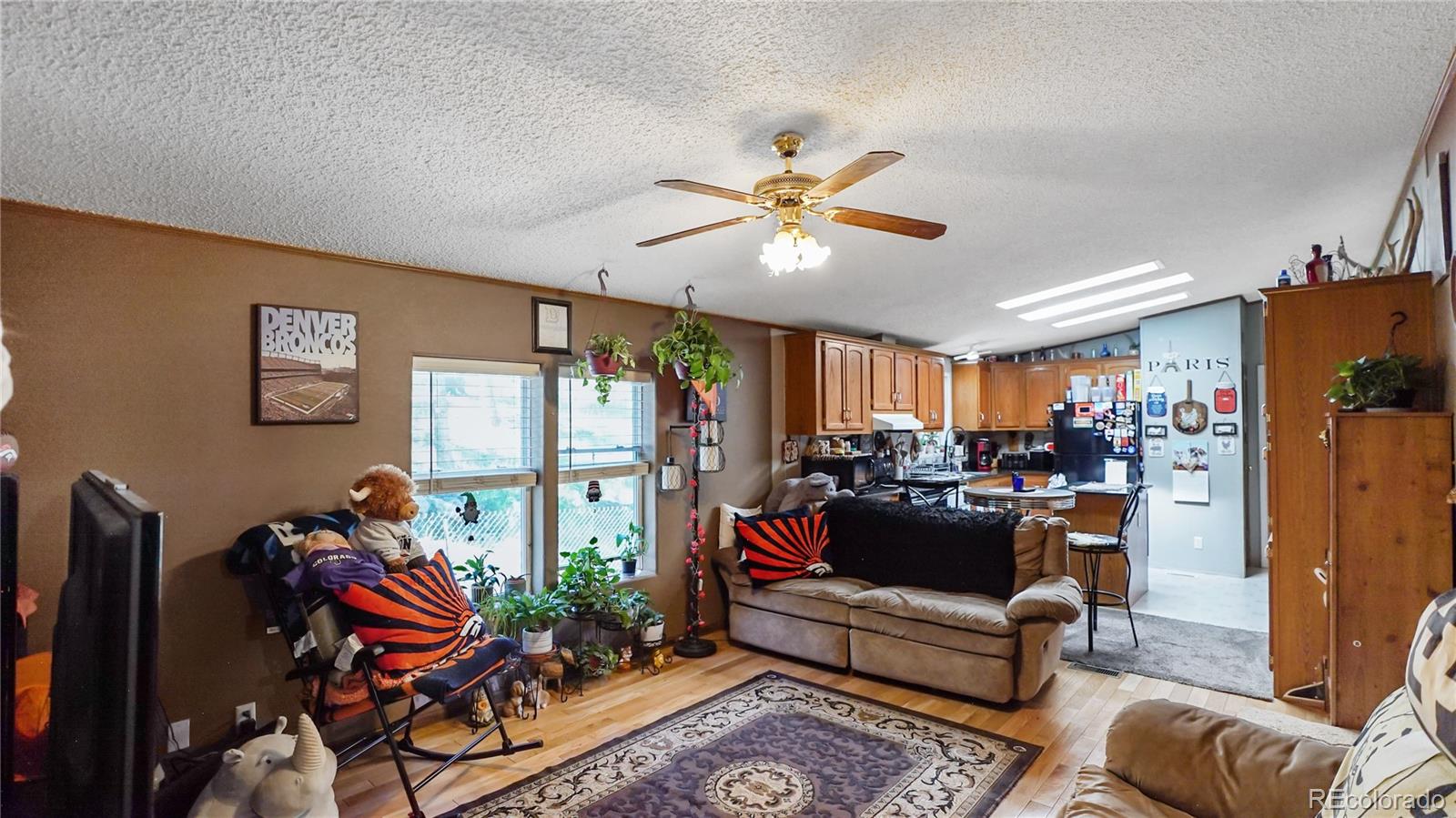 MLS Image #16 for 76 s pine drive,bailey, Colorado