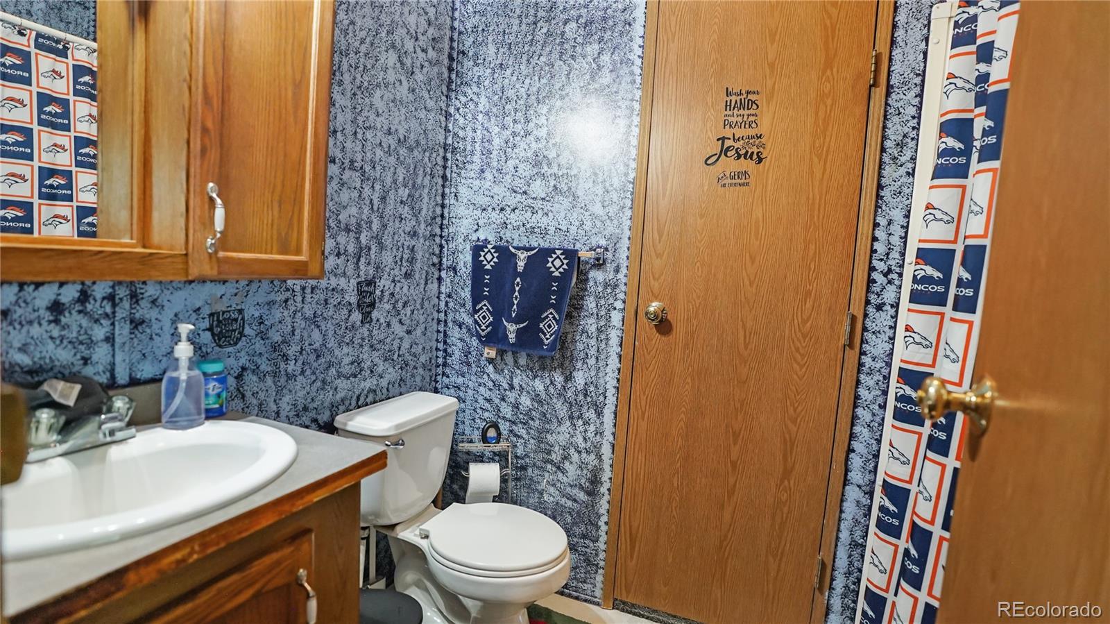MLS Image #17 for 76 s pine drive,bailey, Colorado
