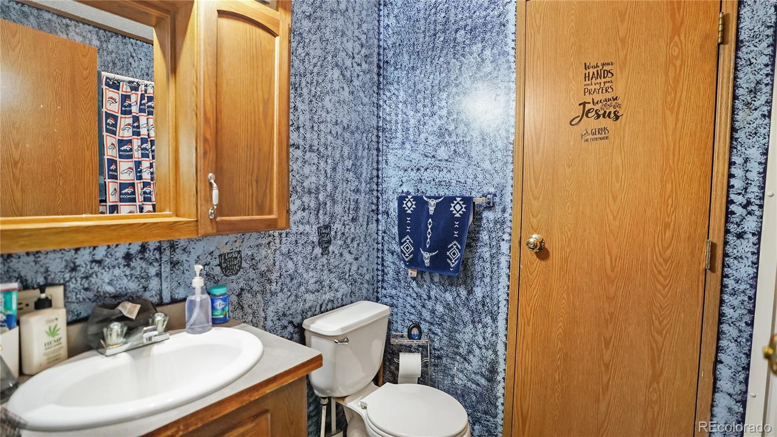MLS Image #19 for 76 s pine drive,bailey, Colorado