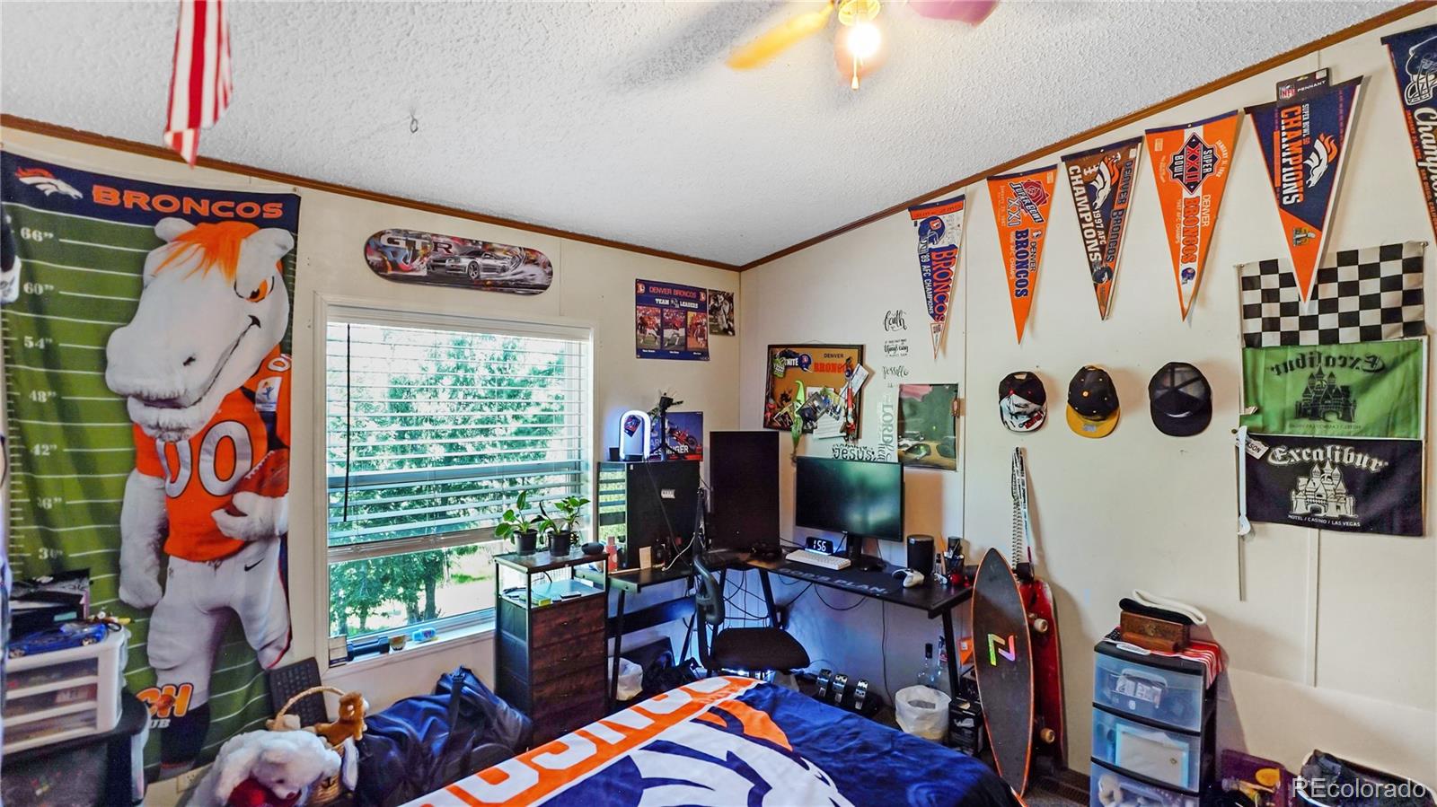 MLS Image #20 for 76 s pine drive,bailey, Colorado