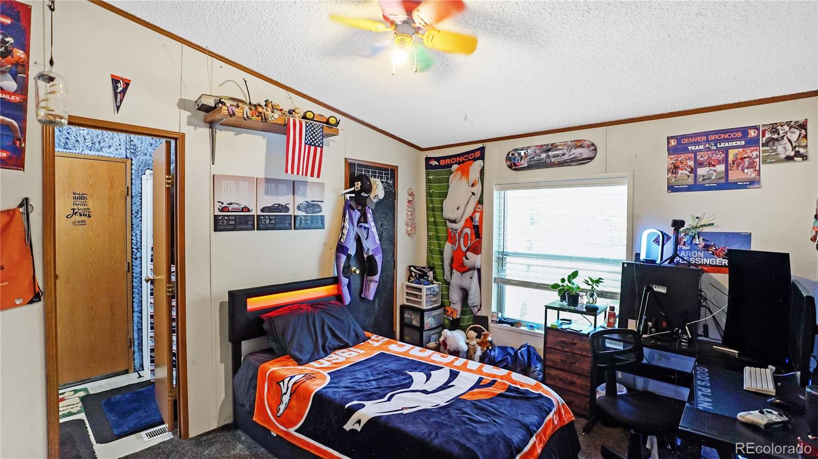 MLS Image #21 for 76 s pine drive,bailey, Colorado