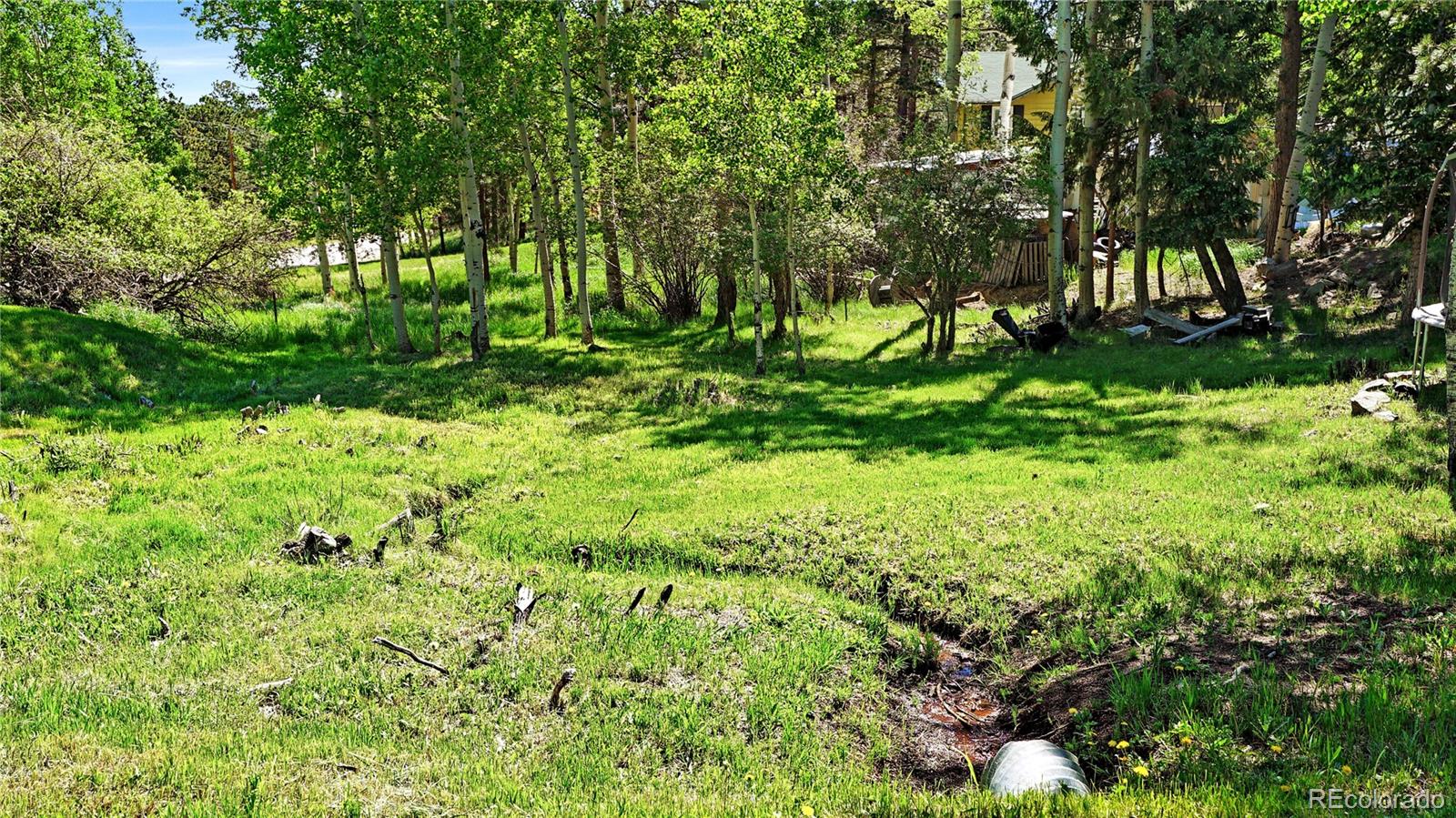 MLS Image #26 for 76 s pine drive,bailey, Colorado