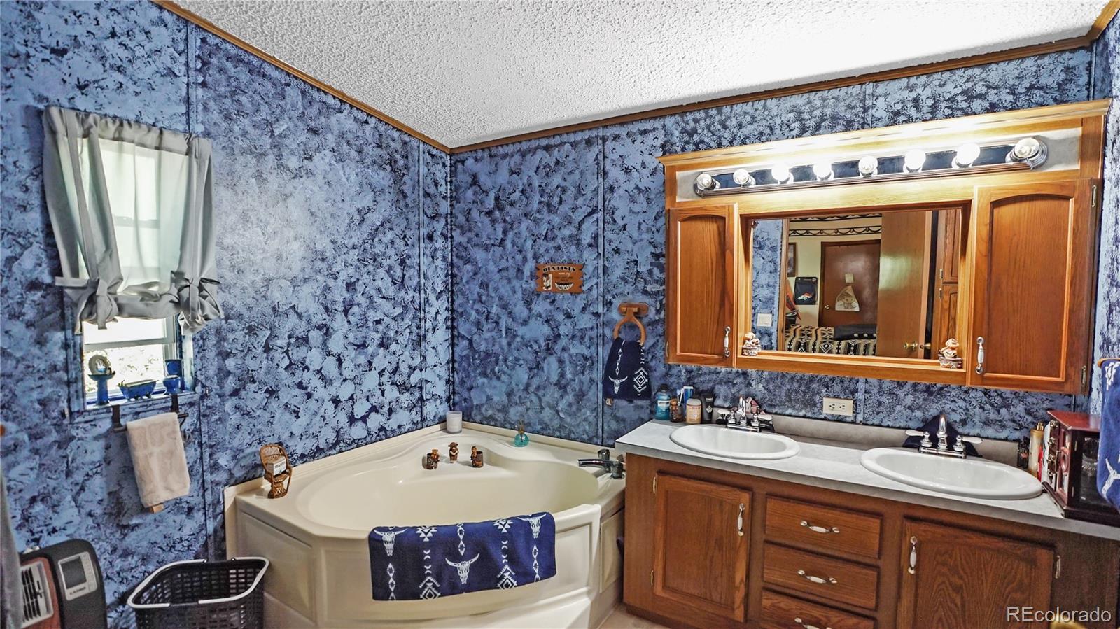MLS Image #3 for 76 s pine drive,bailey, Colorado