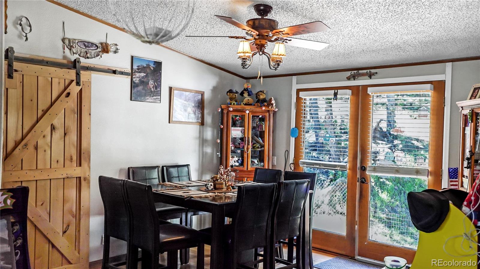 MLS Image #5 for 76 s pine drive,bailey, Colorado
