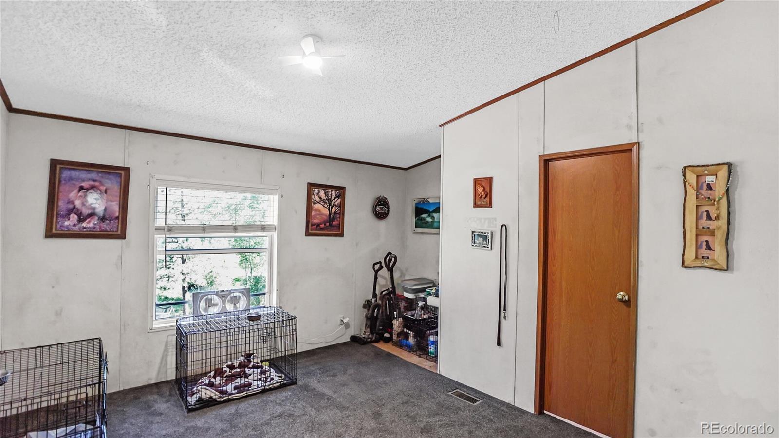 MLS Image #8 for 76 s pine drive,bailey, Colorado