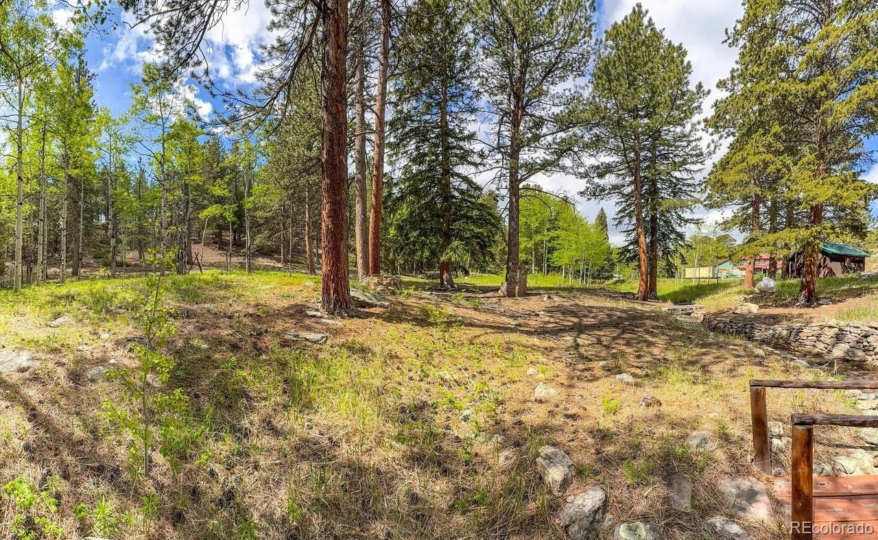 MLS Image #10 for 412  highway 7 business ,allenspark, Colorado