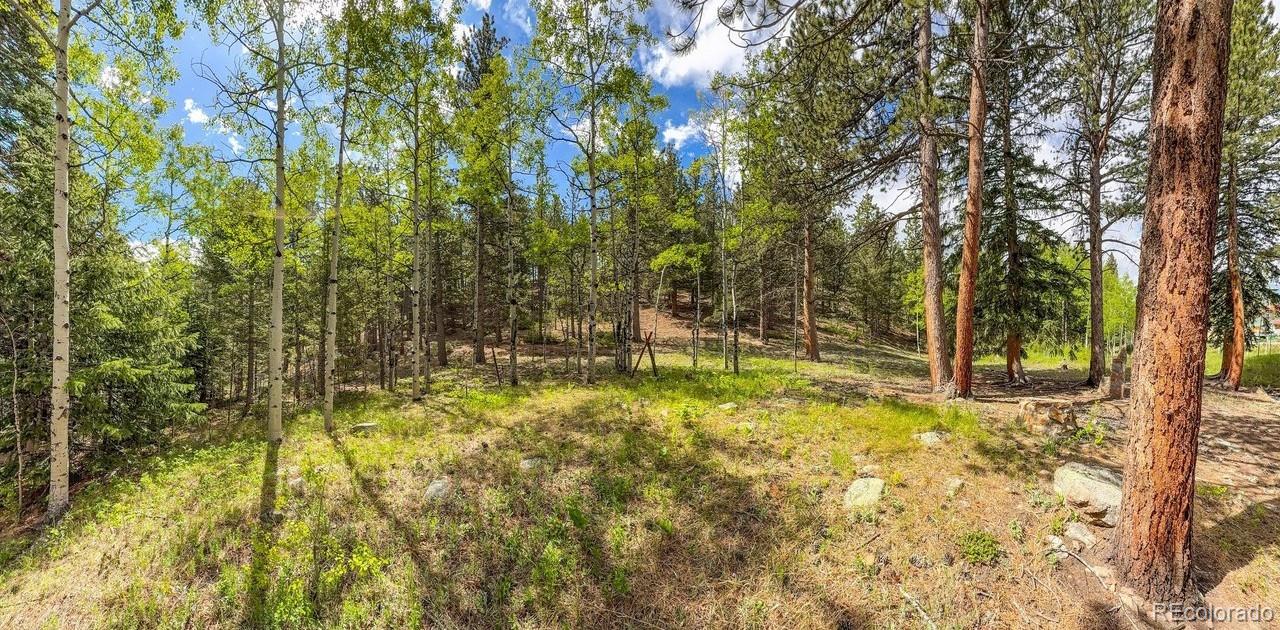 MLS Image #11 for 412  highway 7 business ,allenspark, Colorado