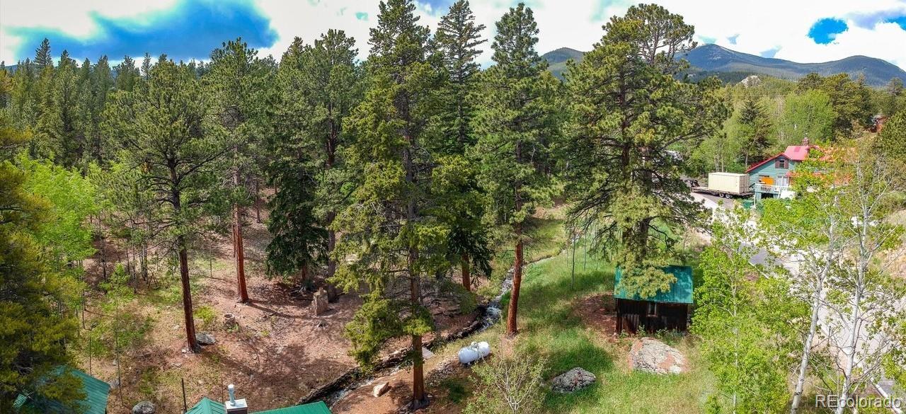 MLS Image #7 for 412  highway 7 business ,allenspark, Colorado