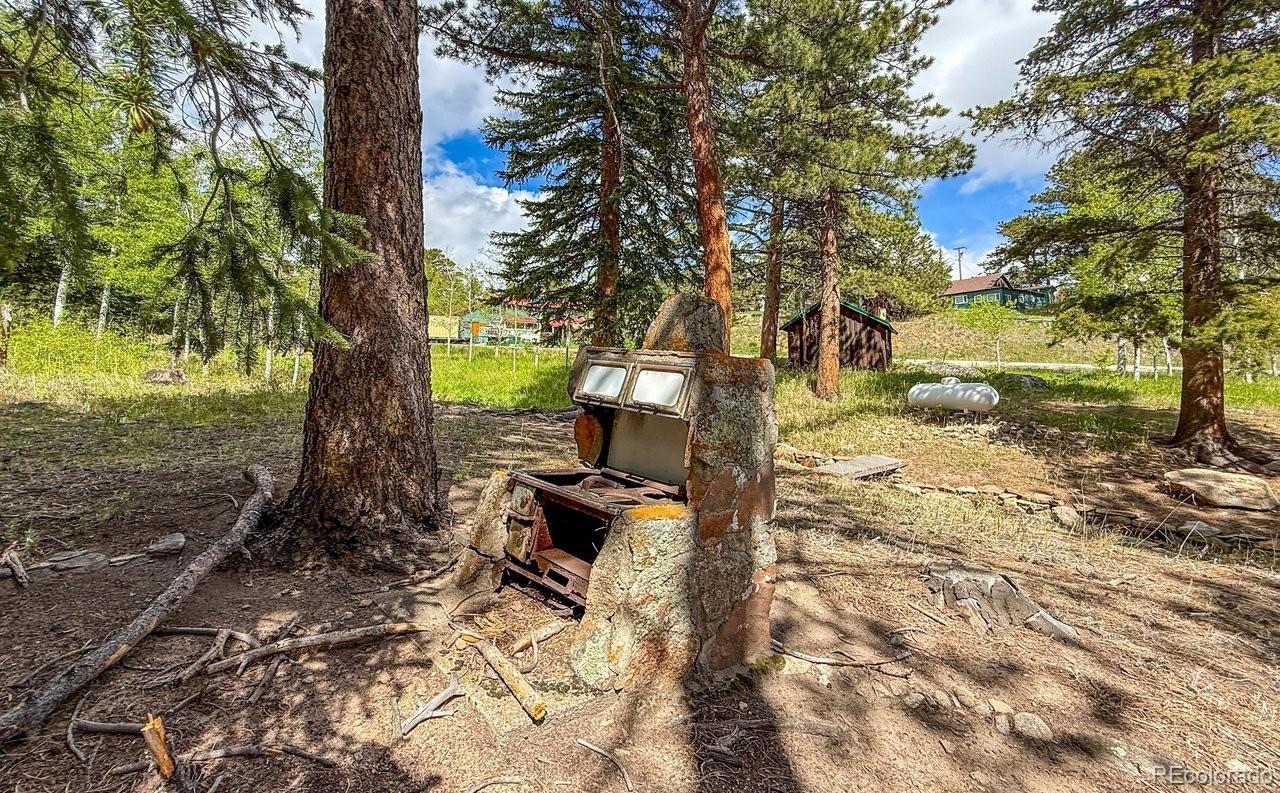 MLS Image #9 for 412  highway 7 business ,allenspark, Colorado