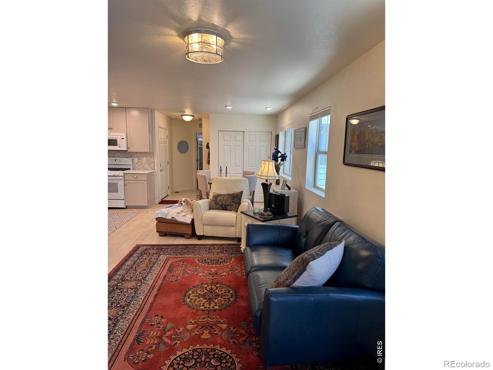 MLS Image #3 for 64  avocet court,longmont, Colorado