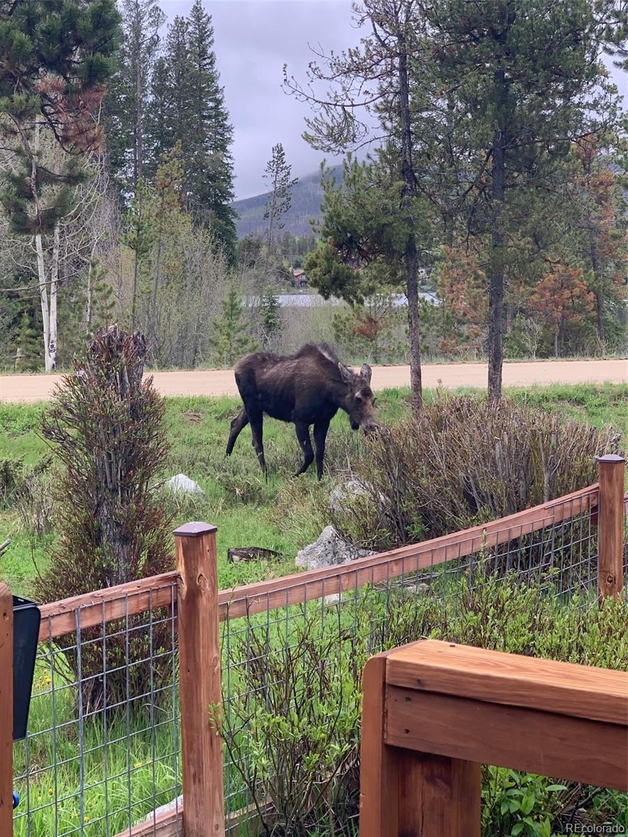 MLS Image #4 for 1384  gcr 494 ,grand lake, Colorado