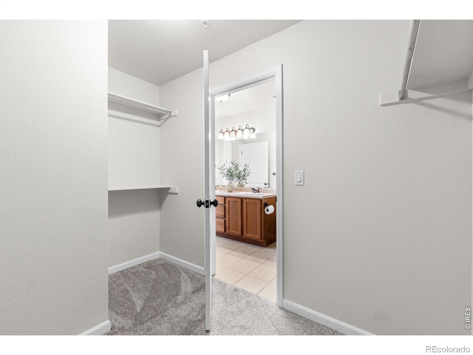 MLS Image #14 for 4915  hahns peak drive,loveland, Colorado