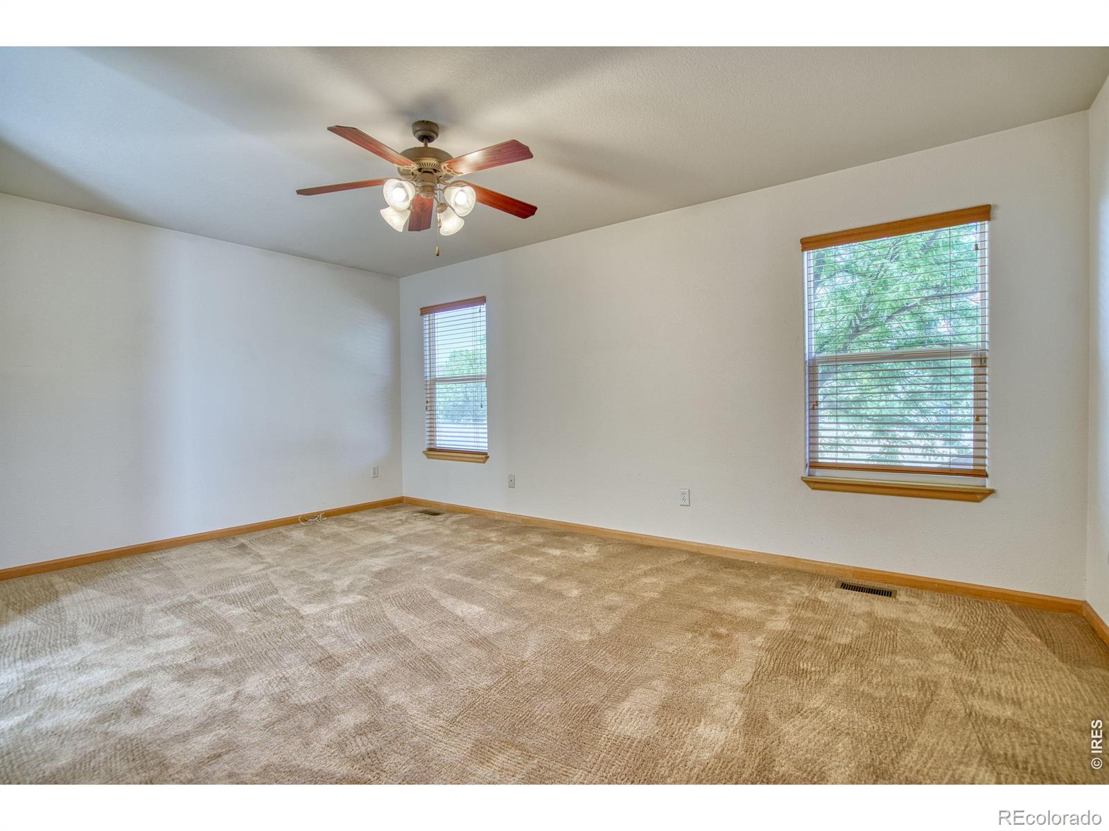 MLS Image #13 for 1384  saginaw pointe drive,windsor, Colorado