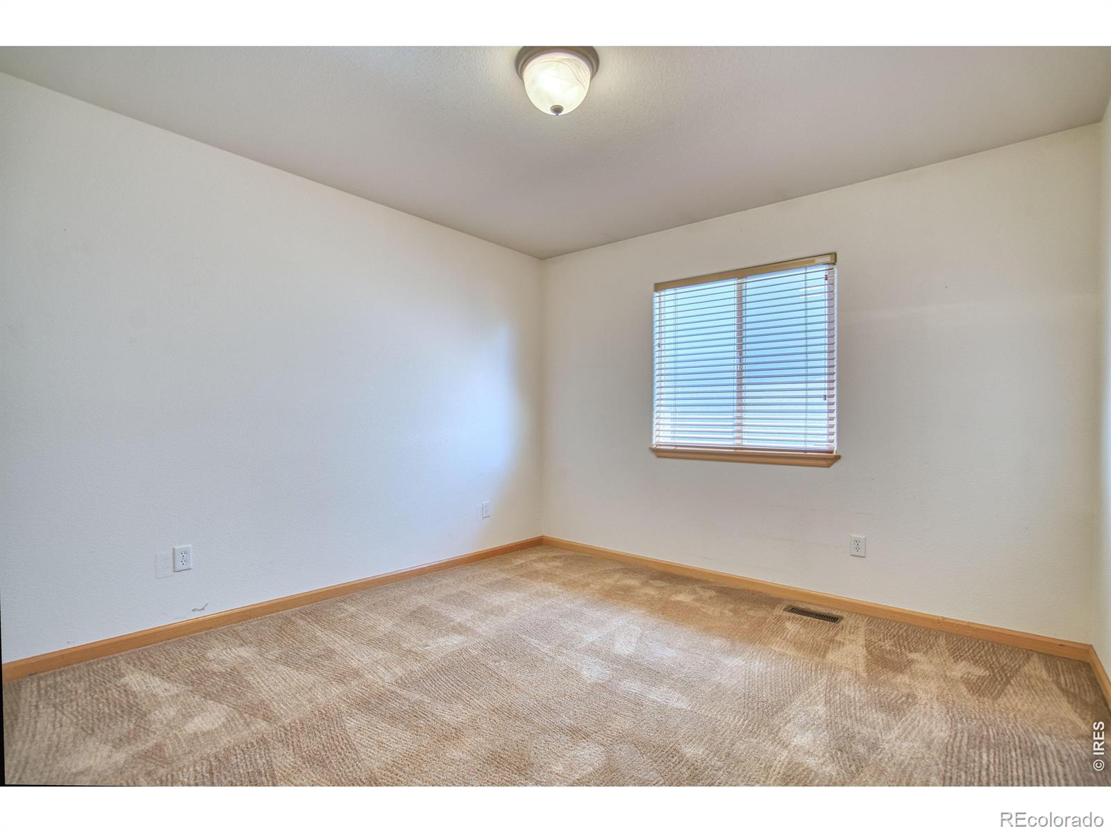 MLS Image #20 for 1384  saginaw pointe drive,windsor, Colorado