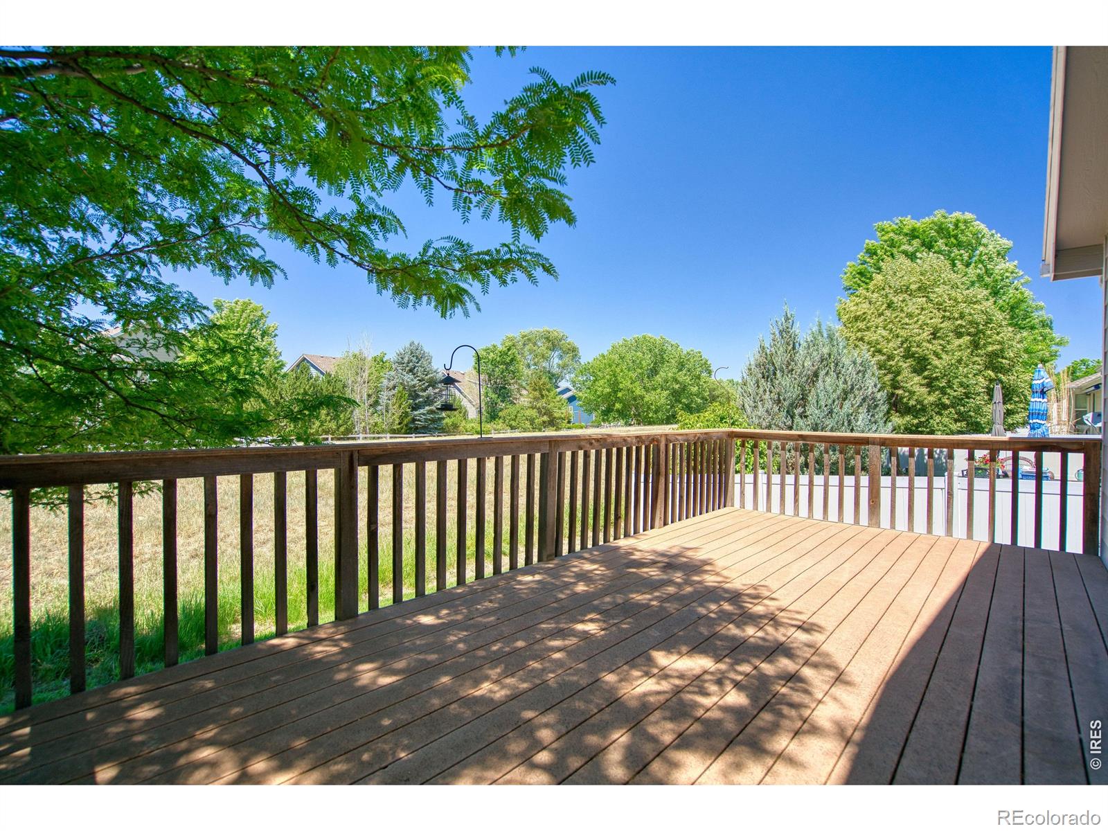 MLS Image #4 for 1384  saginaw pointe drive,windsor, Colorado