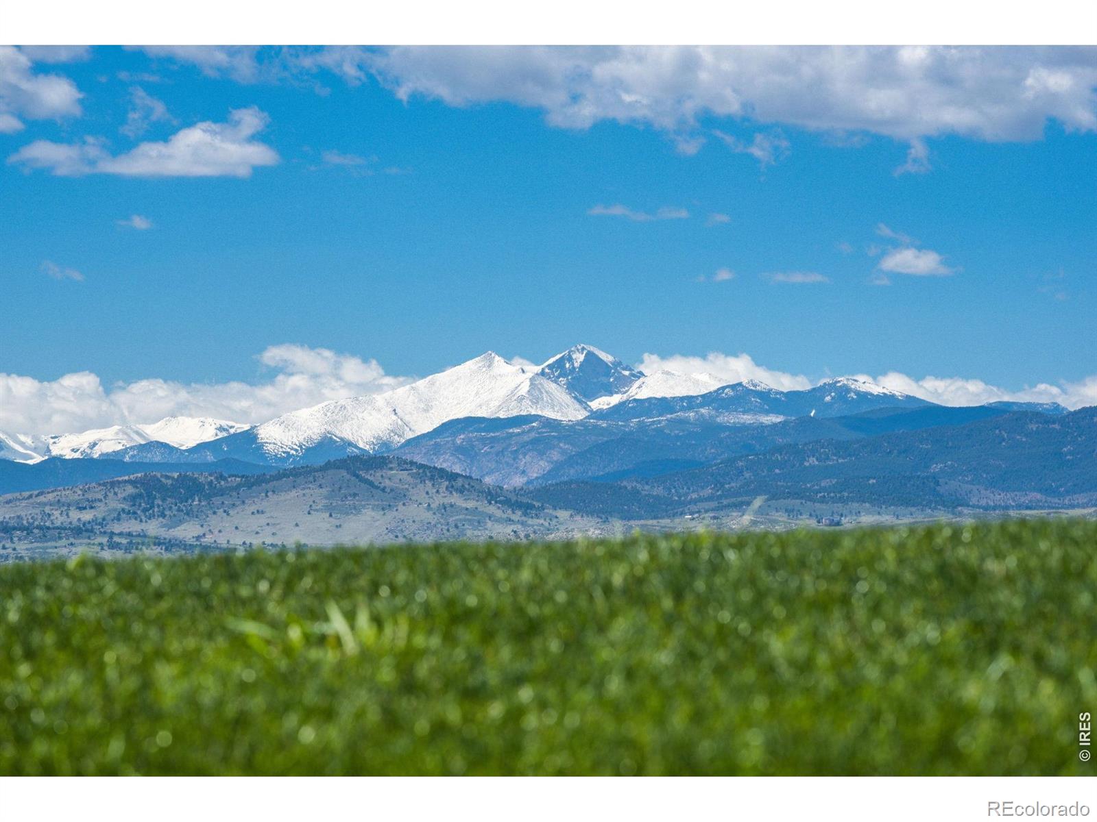 MLS Image #40 for 1543  stoneseed street,berthoud, Colorado