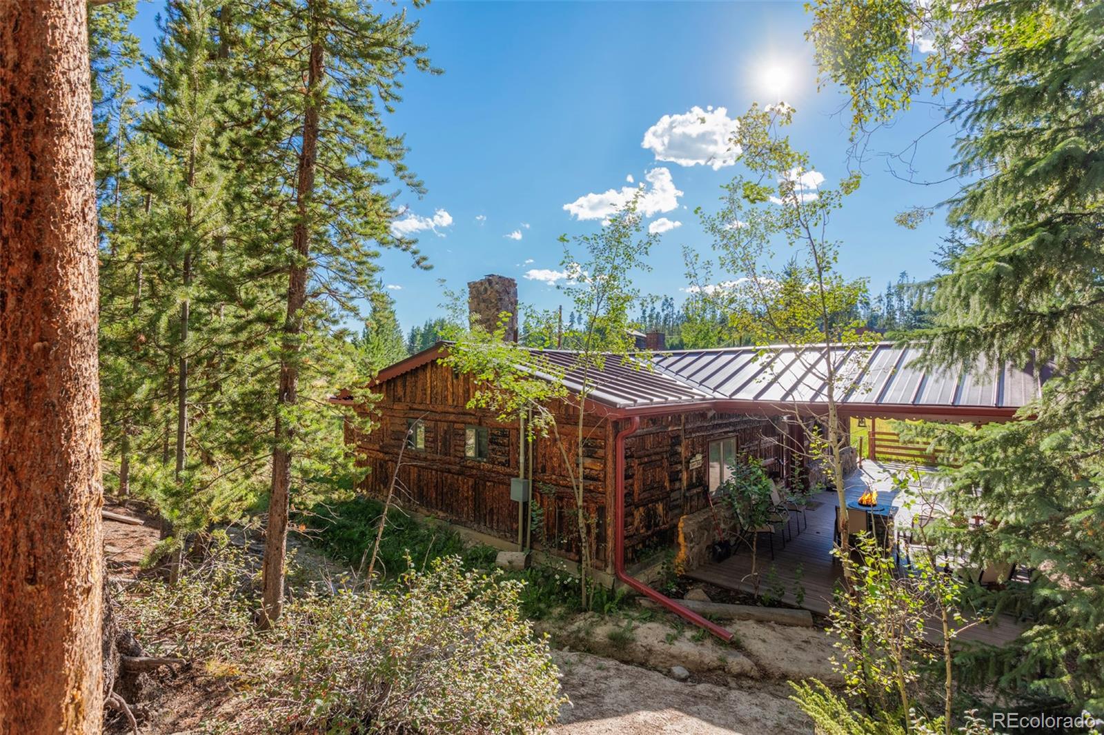MLS Image #3 for 270  county road 48 ,grand lake, Colorado