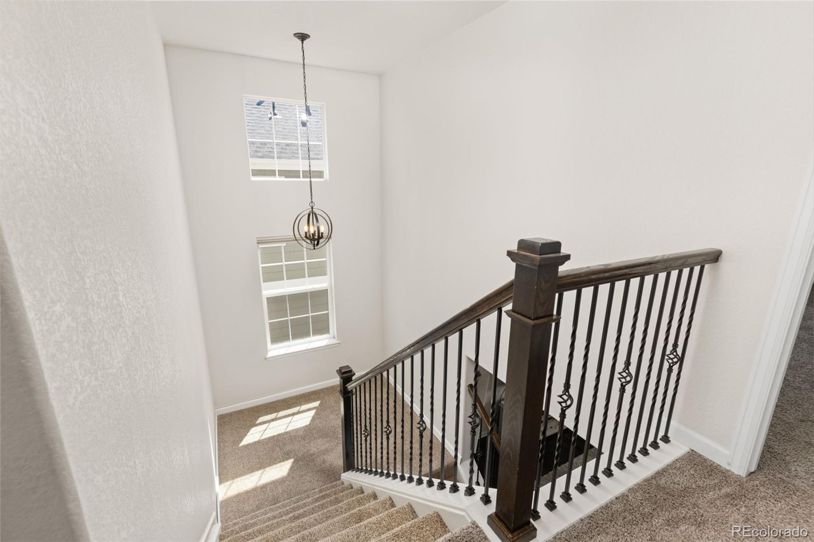 MLS Image #16 for 1908  treetop drive,castle rock, Colorado