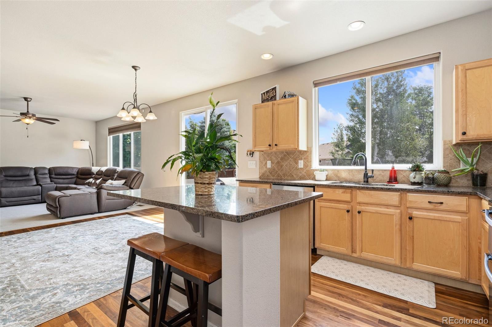 MLS Image #11 for 2055  vineyard court,windsor, Colorado