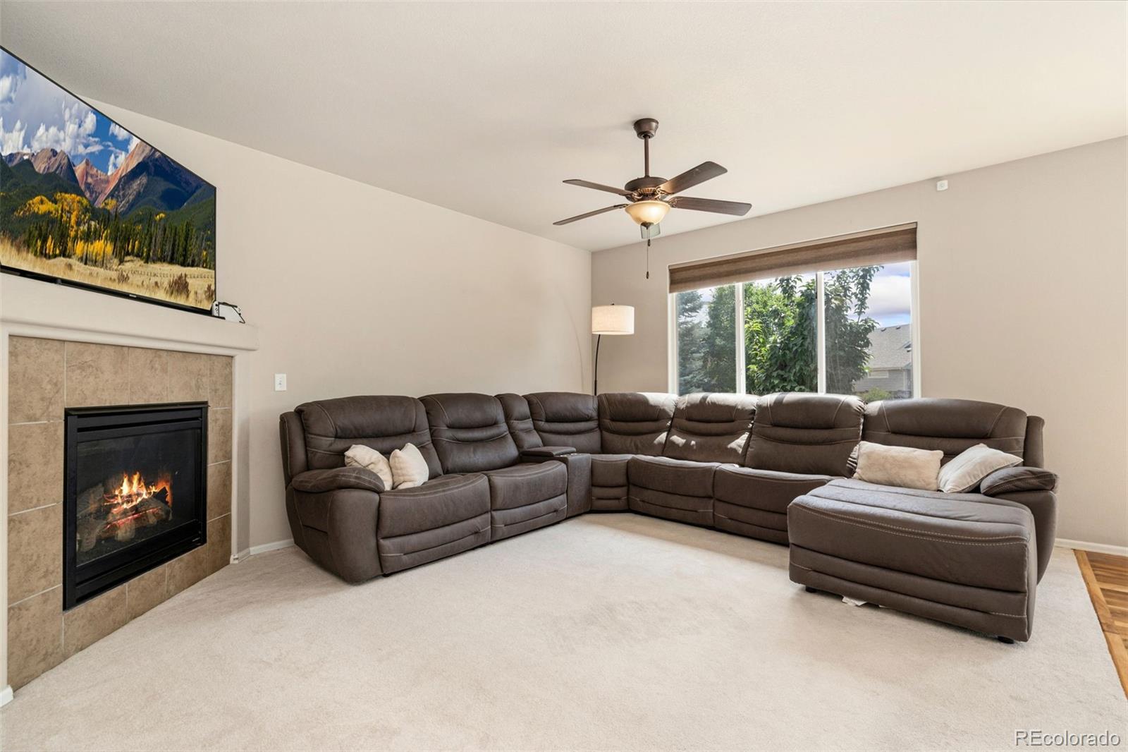 MLS Image #5 for 2055  vineyard court,windsor, Colorado