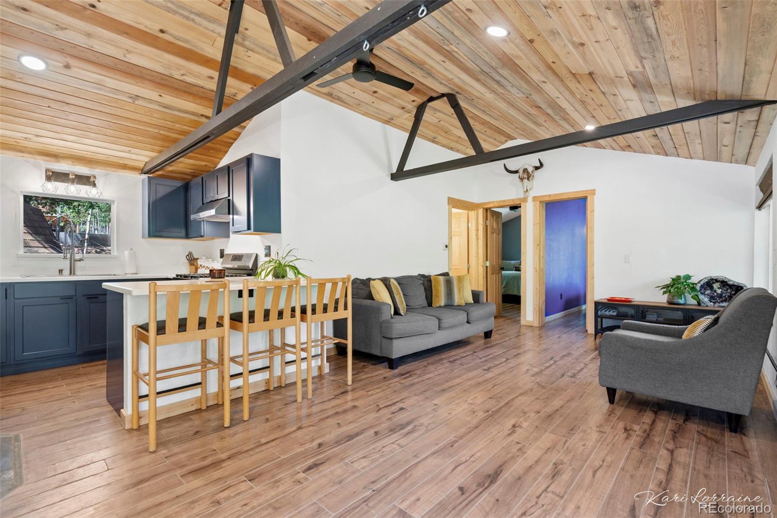 MLS Image #11 for 582  karlann drive,black hawk, Colorado